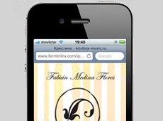 Fabian Medina Flores Mobile