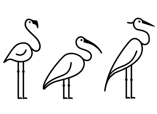 Zoo Pictograms